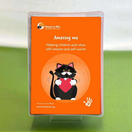 Amazing me Hamish & Milo