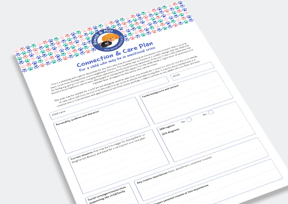 Connection and care plan