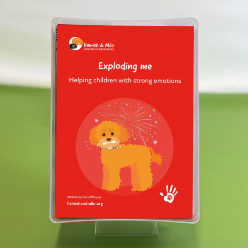 Exploding me Hamish & Milo
