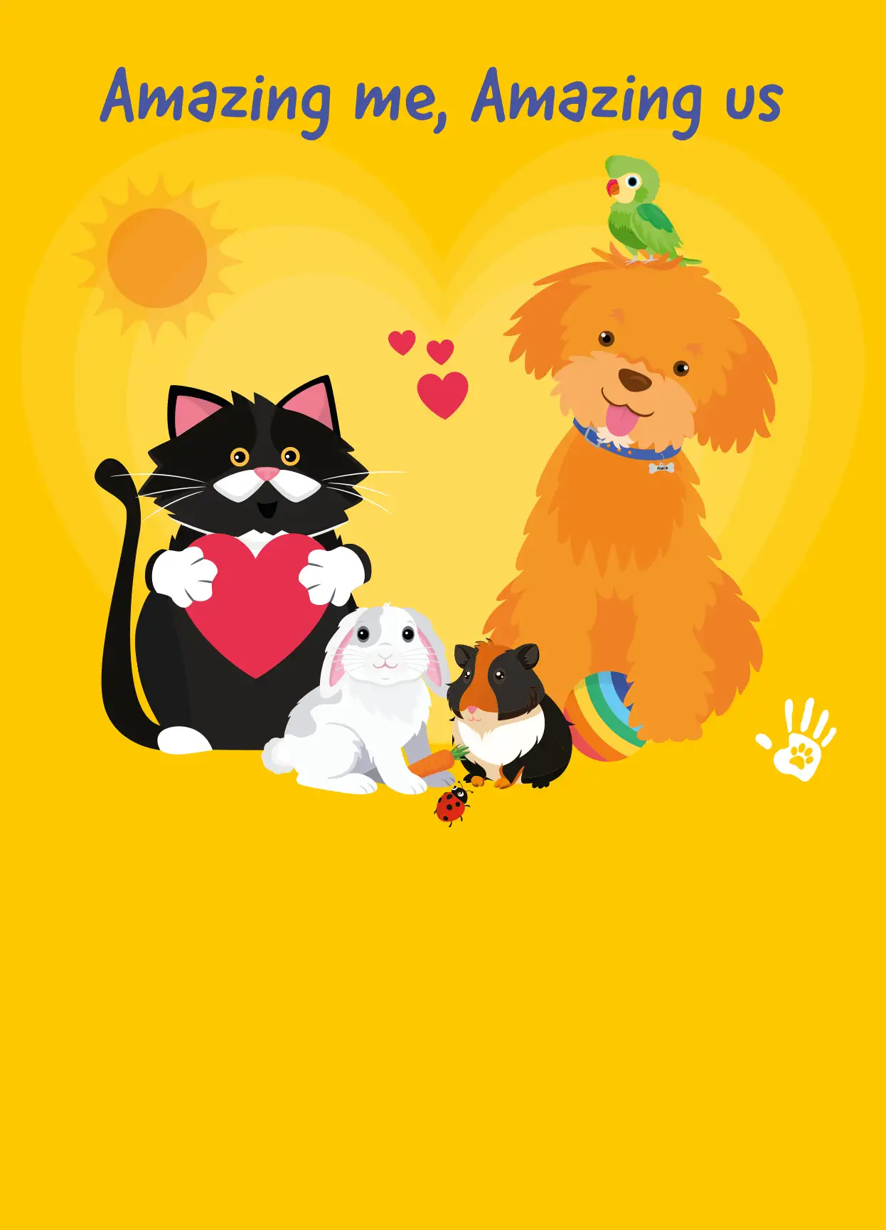 Hamish & Milo Foundation Programme Hamish & Milo Foundation Programme