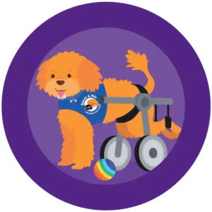 Hamish & Milo Programmes - Celebrating me Icon