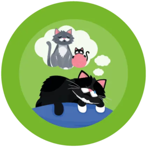 Hamish & Milo Programmes - Memories and me Icon