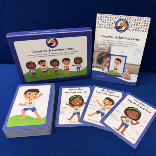 Hamish & Milo Sensation & Emotion Cards