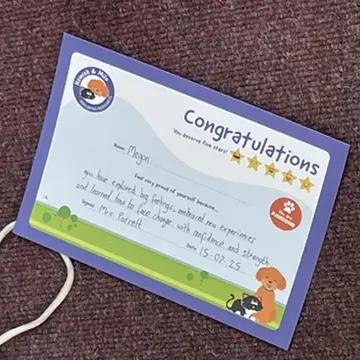 Image 12 – certificate