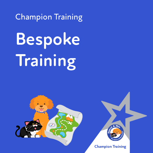 Mental Health Intervention Training from Hamish & Milo Bespoke Training