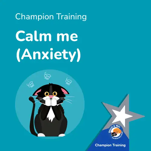 Mental Health Intervention Training from Hamish & Milo_Calm me (Anxiety)