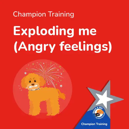 Mental Health Intervention Training from Hamish & Milo Exploding me (Angry feelings)