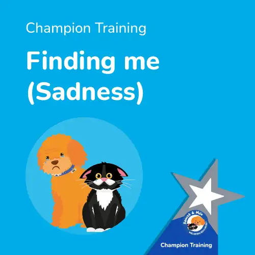 Mental Health Intervention Training from Hamish & Milo Finding me (Sadness)