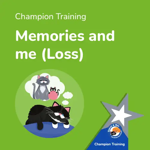 Mental Health Intervention Training from Hamish & Milo Memories and me (Loss)