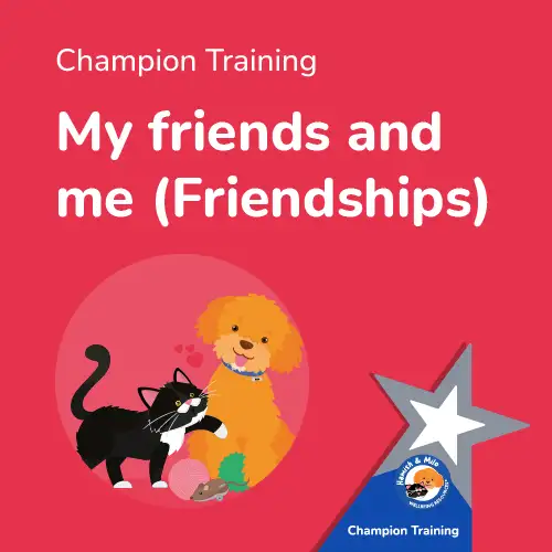 Mental Health Intervention Training from Hamish & Milo My friends and me (Friendships)