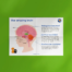 Our Amazing Brain Poster