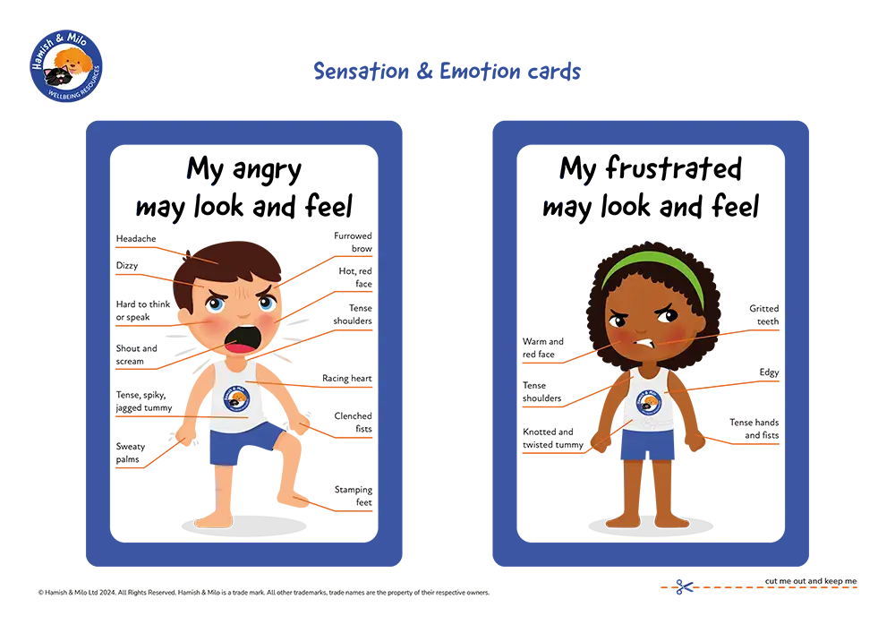 Sensation & Emotion cards Anger