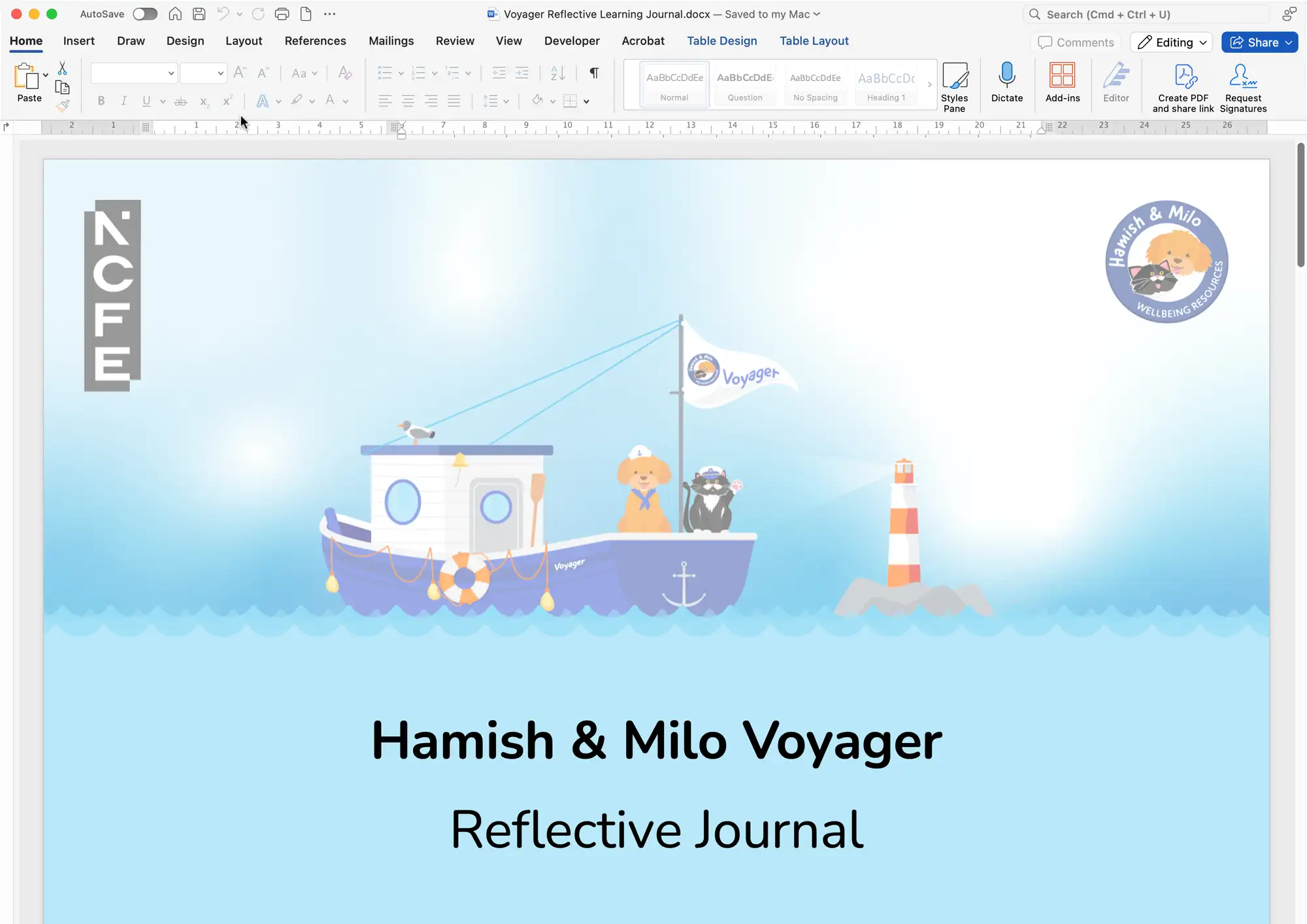 Voyager Reflective Journal